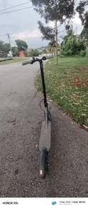Ladped Electric Scooter for Sale