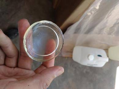 Soft Flexible Epoxy Casting Epflexin PT371AB