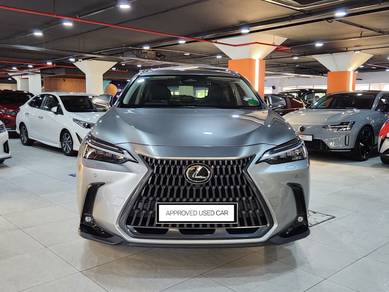 2023 Lexus NX 250 LUXURY