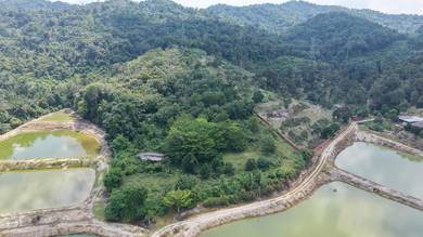 Agricultural Land in Pantai, NSN