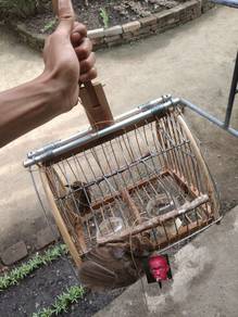 jebok keranda