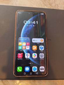 Mate 60RS