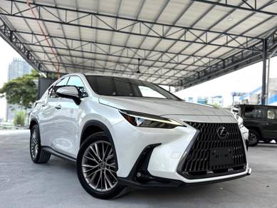 Lexus NX 250 LUXURY in Cheras, KUL