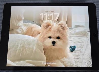iPad 9 (256GB, WiFi) + Accessories
