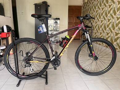 Mtb Polygon