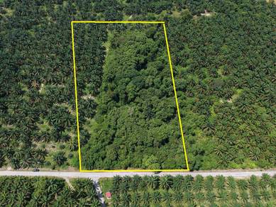 Agricultural Land in Kuantan, PHG