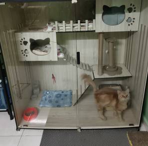 Sangkar Kucing / Cat Villa