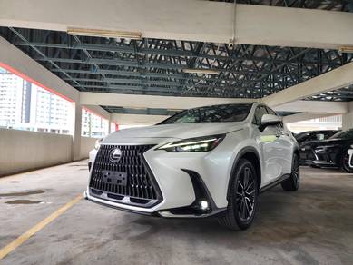 2023 Lexus NX 250 LUXURY