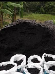 Tanah Organic @ Organic Soil