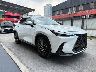2023 Lexus NX 250 LUXURY
