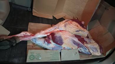 Daging Lembu Kampung