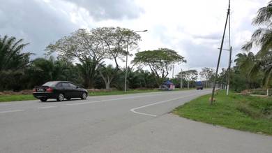 Agricultural Land in Kuala Selangor, SGR