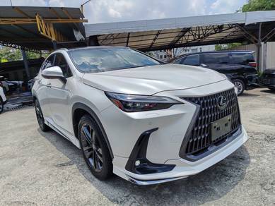 2023 Lexus NX 250 LUXURY