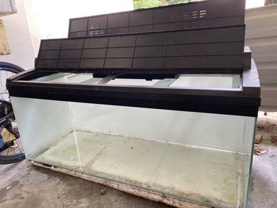 aquarium 4ft