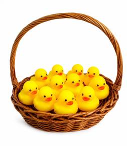 Basket of Cute Bath Duck