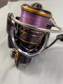 daiwa caldia lt 2500s + daiwa bg 4000