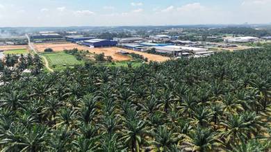 Residential Land in Senai, JHR