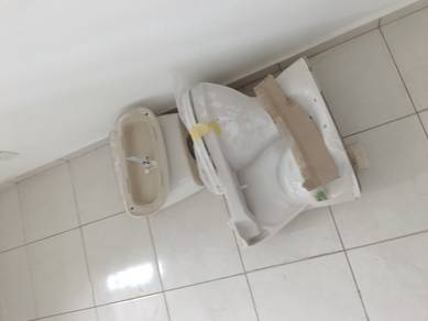 Toilet Bowl 