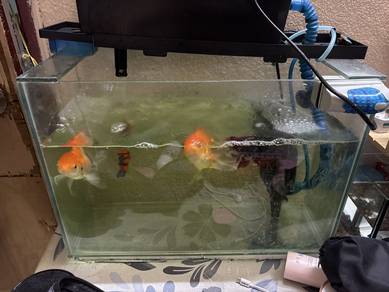 AQUARIUM 1.5ft