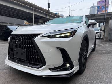 Lexus NX 250 LUXURY in KLCC, KUL