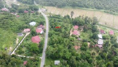 Agricultural Land in Kubang Pasu, KDH