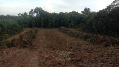 Industrial Land in Hulu Terengganu, TRG