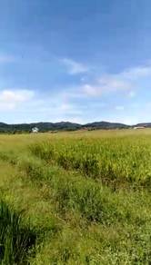 Agricultural Land in Langkawi, KDH