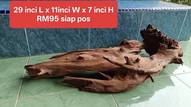 aquarium driftwood best body betul solid