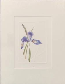 PromoRM100 Botanical Embossing Print – Iris ✨🌸