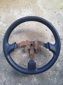 Steering Proton LMST