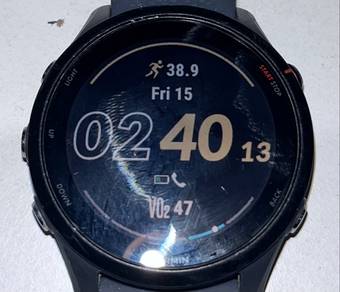 Garmin Forerunner 255