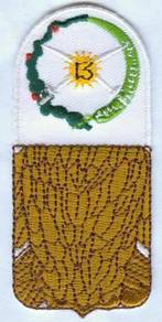 13th Horse Cavalry Regiment COA USA Army Patch