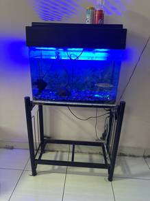 Fish Tank Full Set - Clear & Good Condition