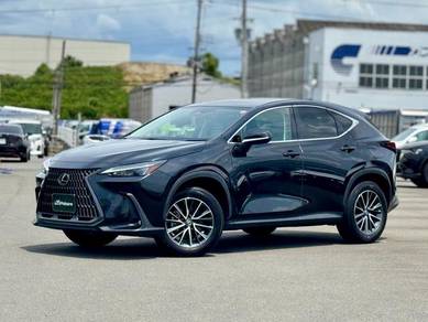 Lexus NX 250 BASE GRADE in Klang, SGR
