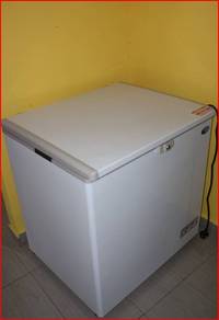 Snow freezer LY250LD