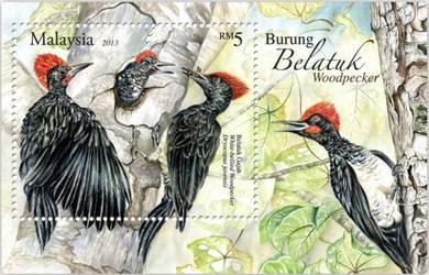 Miniature Sheet Woodpecker Belatuk Malaysia 2013