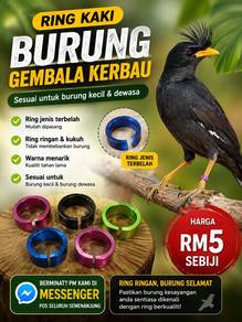 Ring kaki burung GK