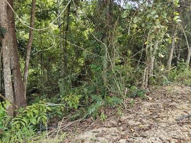 Agricultural Land in Rompin, NSN
