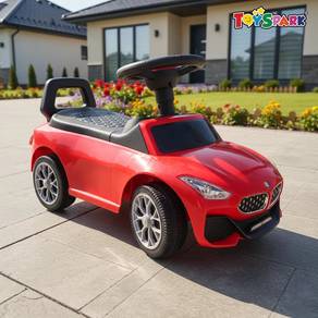 BMW Push car