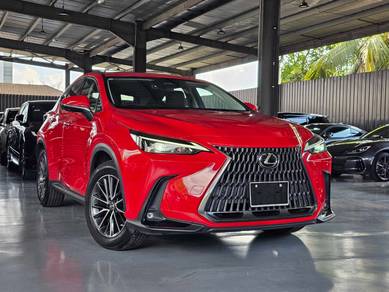 Lexus NX 250 VERSION L in Johor Bahru, JHR