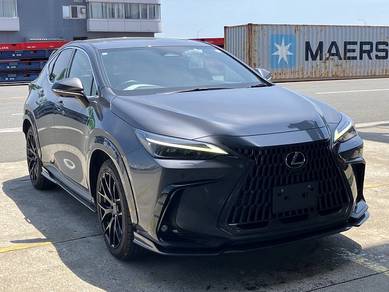Lexus NX 250 LUXURY in Kuching, SWK