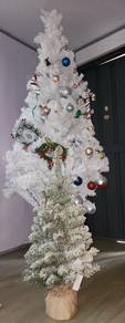 used Christmas trees buy big free small