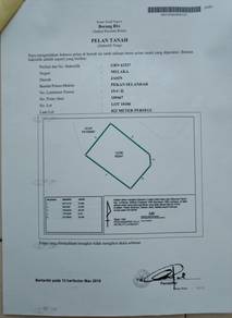 Residential Land in Selandar, MLK