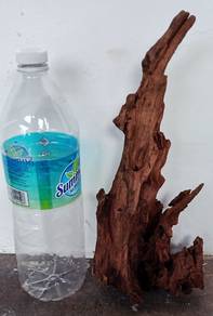 driftwood akuarium nego