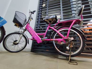 Electric Bike 