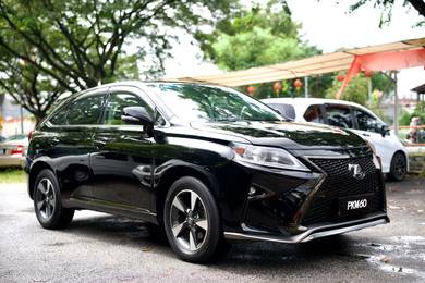 2010 Lexus RX 350