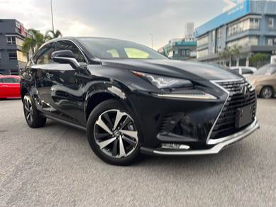 2021 Lexus NX 300 URBAN