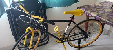 Fixie mountain bike