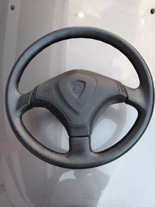 Proton Steering