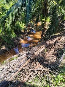 Agricultural Land in Sungai Siput, PRK